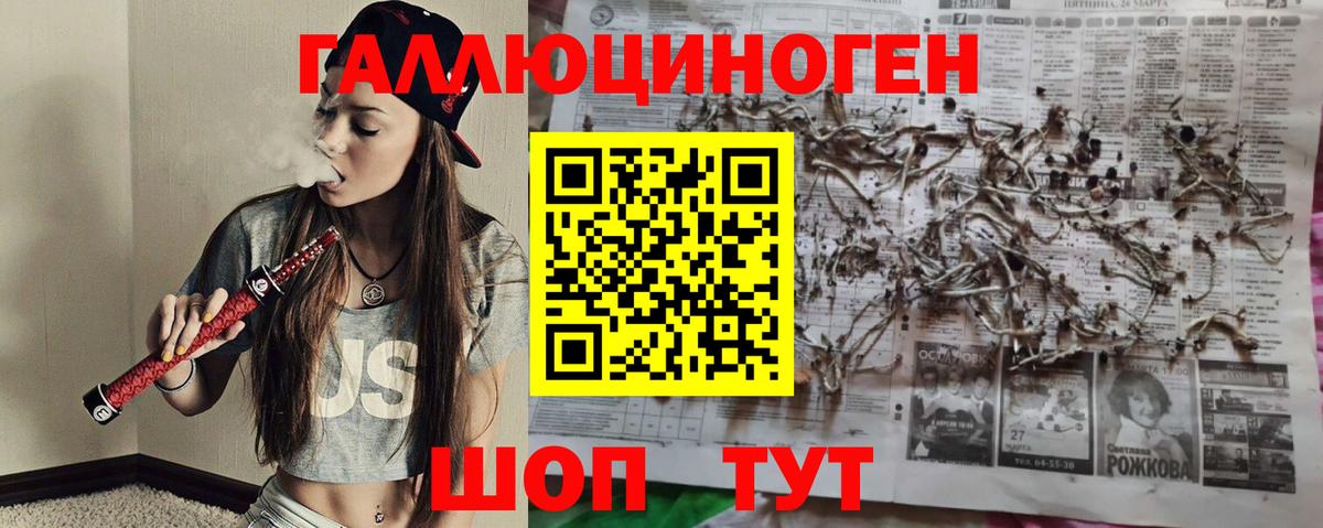 Галлюциногенные грибы прущие грибы  Вход с VPN  закладки  Чита 